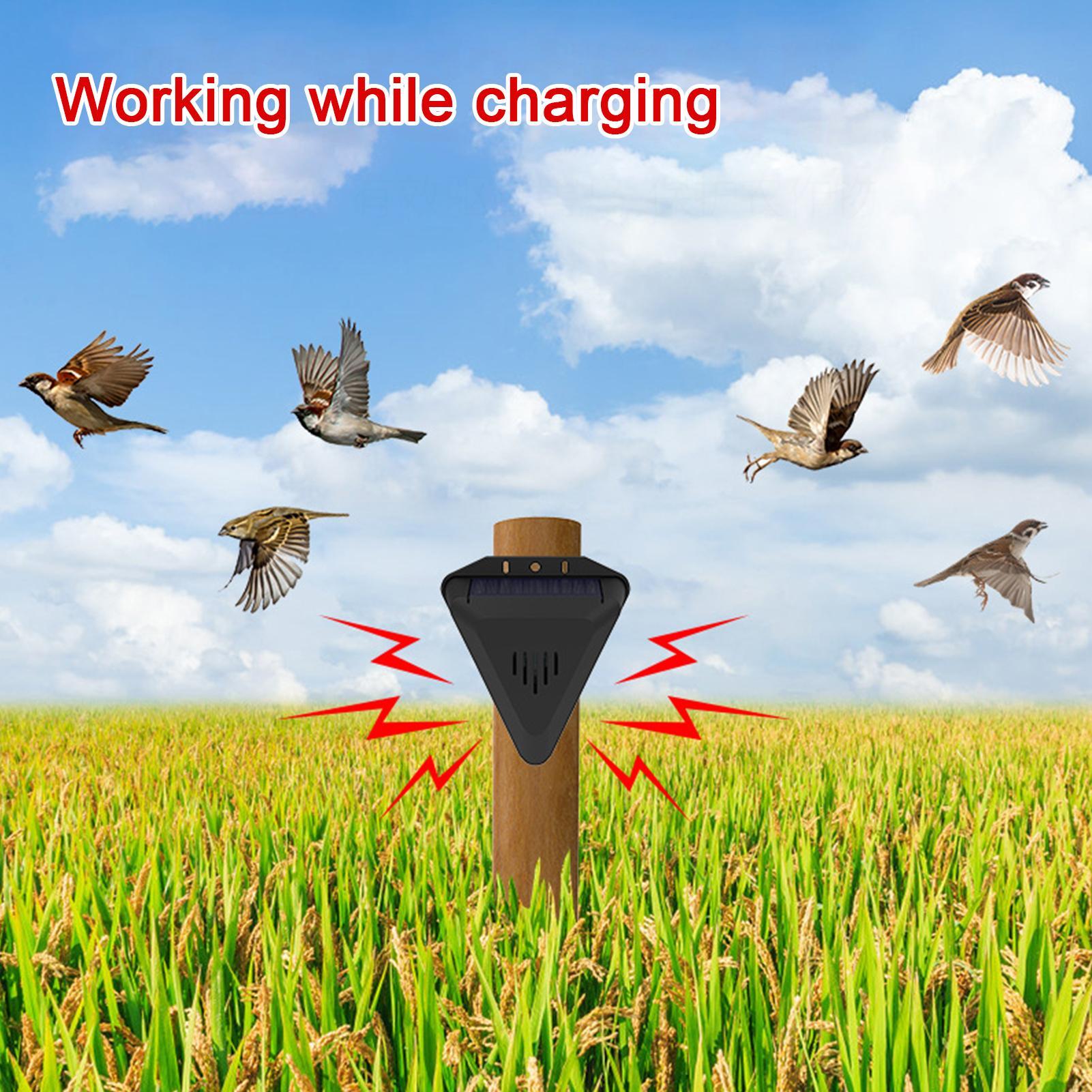 Солнечный отпугиватель птиц с  – обзор и цена Outdoor Power With Timer